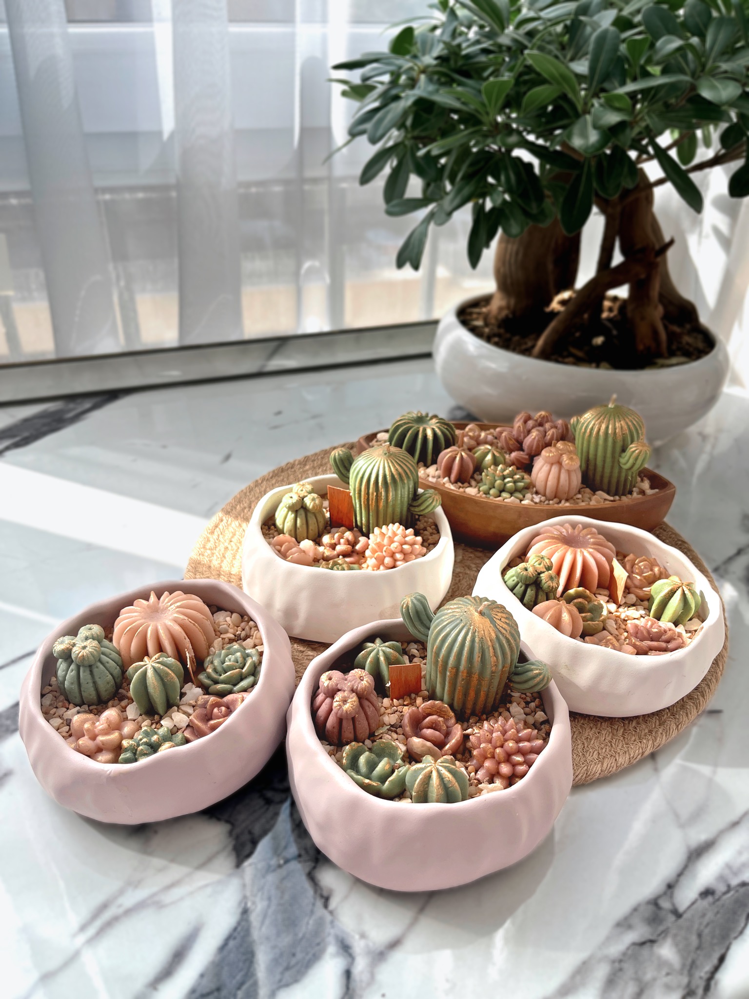 باغچه گرد کاکتوس شمعی